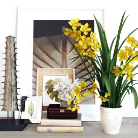 Decoration set cymbidium orchid